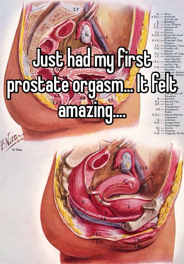 My First Prostate Orgasm